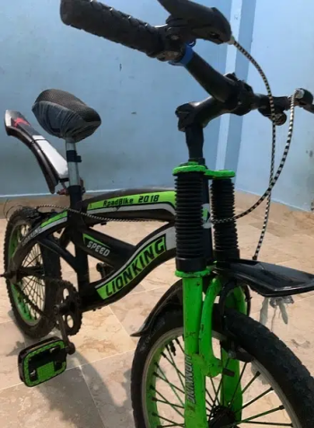 Loin king Rpad bike 2018