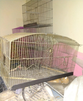 قفص 2عين كوبار