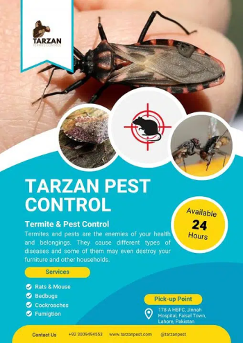 Termite Control, Fumigation Spray, Deemak Control, Pest Control