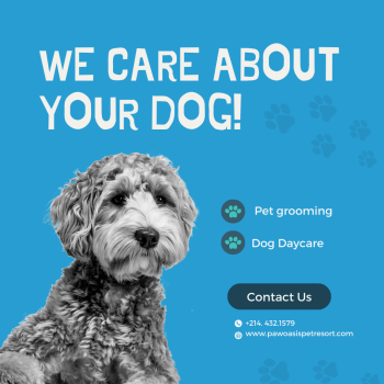 Paw Oasis Pet Resort: The Best Daycare for Your Dog in Town