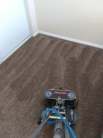 Orlando's carpet cleaning