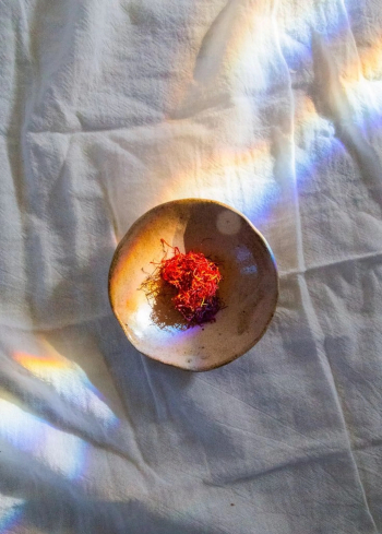 زعفران تالووين: المغرب (أفضل زعفران في العالم)