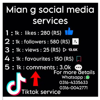 TikTok Services/Social Media Services