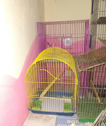 قفص عصفير سلك محمل اكلات وضرج تنضيف