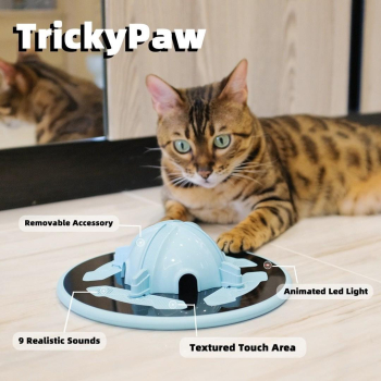 Smart Cat Toy