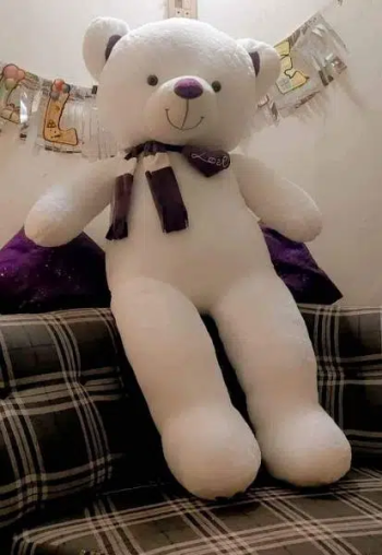 Teddy bears Stuff Toy | free delivery in lahore Valentines gift