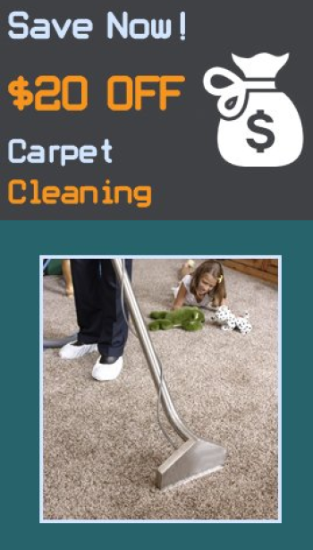 The Little Elm Carpet Cleaning