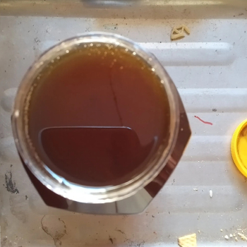 عسل نحل حبة البركة