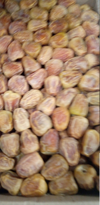 جميع عنوا التمور والتصنيع