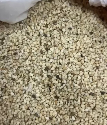 سمسم تجاري للبيع متوفر في الامارات