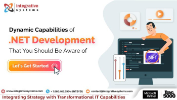 Versatile .NET Development Services