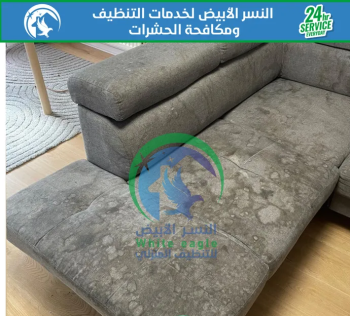 Ø´Ø±ÙƒØ© ØªÙ†Ø¸ÙŠÙ ÙˆØªØ¹Ù‚ÙŠÙ… ÙƒÙ†Ø¨ ÙƒØ±Ø§Ø³ÙŠ Ø³Ø¬Ø§Ø¯ Ù…Ø¬Ø§Ù„Ø³ Ø´Ù‚Ù‚ ÙÙ„Ù„ Ù…Ù†Ø§Ø²Ù„ Ø®Ø²Ø§Ù†Ø§Øª Ù…Ø·Ø§Ø¨Ø® Ù…ÙƒØ§ÙØ­Ø© Ø­Ø´Ø±Ø§Øª ÙÙŠ Ø