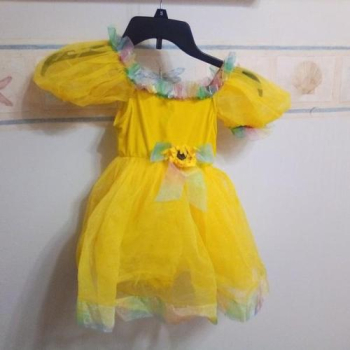 Ballet dress in Plain City, Utah