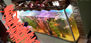 خوض سمك فارغ زجاج سكوريت 10ملي