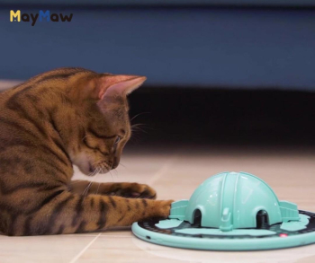 Cat hunting smart toy