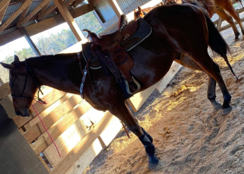 It’s available for sale…Serious buyer should kindly send a message to my number to talk more better