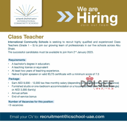 International Community Schools