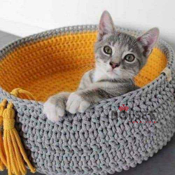 Ø¨ÙŠØª Ø§Ù„Ù‚Ø·Ø© Ø£Ùˆ Ø§Ù„ÙƒÙ„Ø¨.. ðŸ˜ðŸ˜