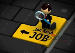 مطلووووووب سكرتيره