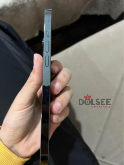 iPhone 13 Pro Max 256G Battery 100%