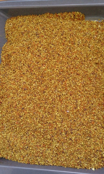 حبوب لقاح النحل 1 كيلو