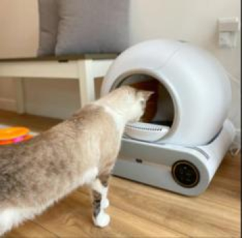 The Best Self-Cleaning Litter Box in Canada: A Cleaner Solution for Your Cat