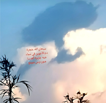 مطلوب مغسله سيارات للايجار