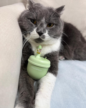 Automatic Laser Cat Toy