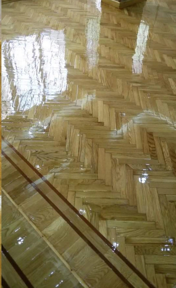 سيانت البركية