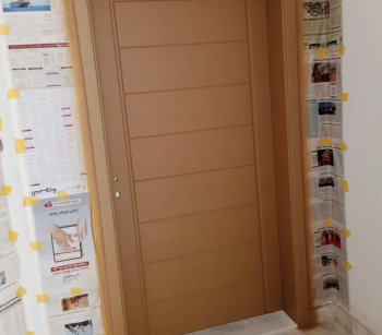 carpentry and door maintenance painting