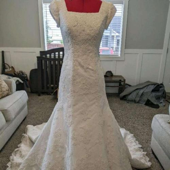 White Mermaid/Trumpet Style Wedding Dress in Rigby, Idaho