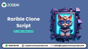 Start Your NFT Marketplace Business like Rarible