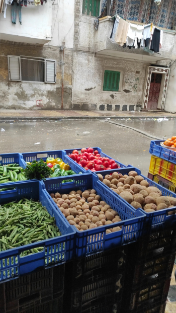 توريد خضار وفواكه للمطاعم والفنادق