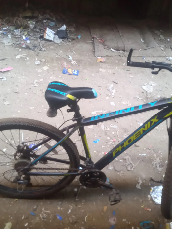 درجه فونيكس 29