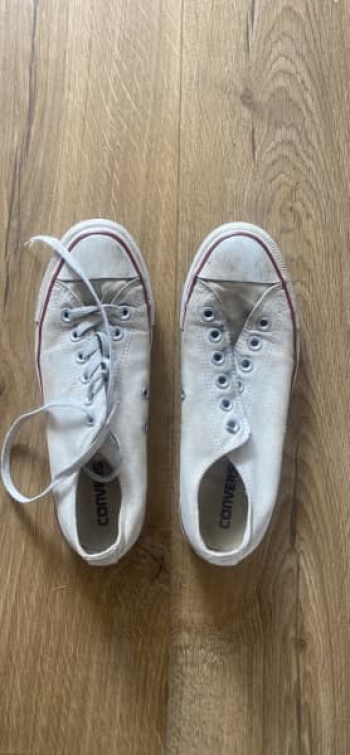 Free Converse Chuck Taylor All Star Low Top white