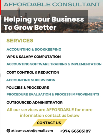 AFFORDABLE Accountant/ Consultant