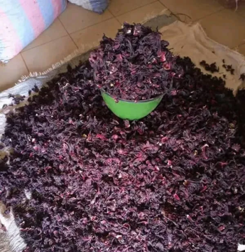 سمسم سوداني