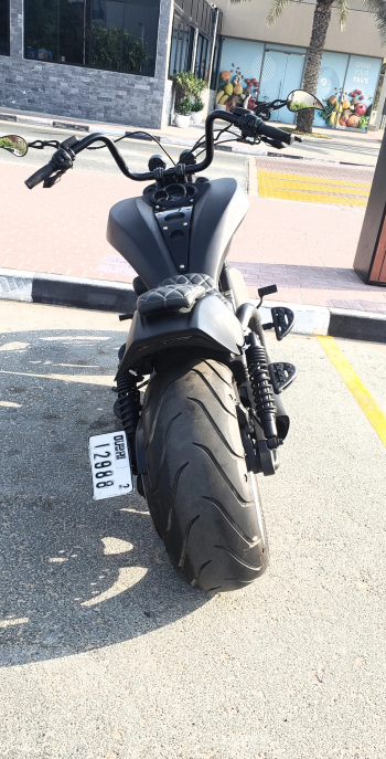 Harley vrode muscle 2013