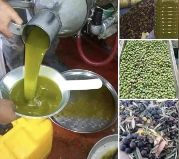 زيت زيتون بيولوجي