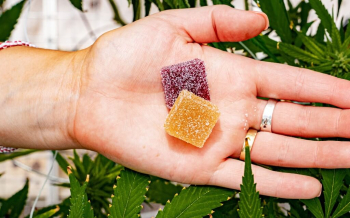 Weed Gummies