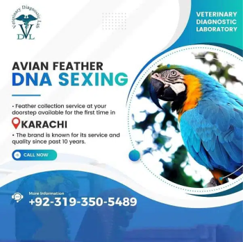 DNA for birds