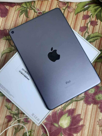 Ipad mini 5