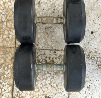 2 dumbbells each 65LBS(29KG)