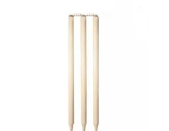 New Cricket Wooden Wicket Stumps for hard ball