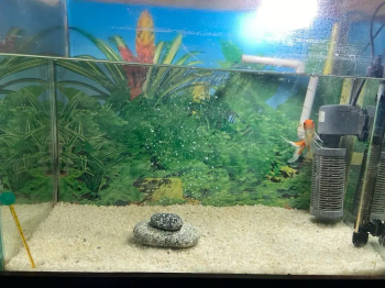 All setup for sale is number pa call kara