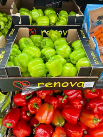 فلفل ألوان طازج 