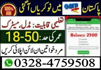 Online job at Home/Part Time/Data Entry/Typing/Assignments/Teaching