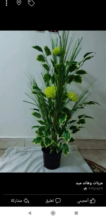 تنسيقات ورد