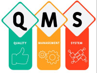 New Product Development