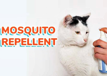 Pet Safe Mosquito Repellent